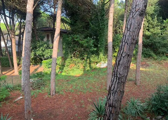 In 25559 * Eraclea Mare