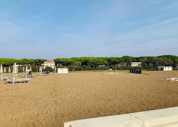 Apartament In 25559 *