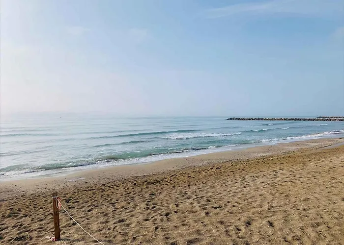 Apartament In 25559 *